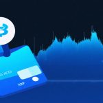 Kriptovaluta Zűrzavar: A Ripple műszaki igazgatója aggasztó figyelmeztetést intézett az XRP lelkes támogatóihoz